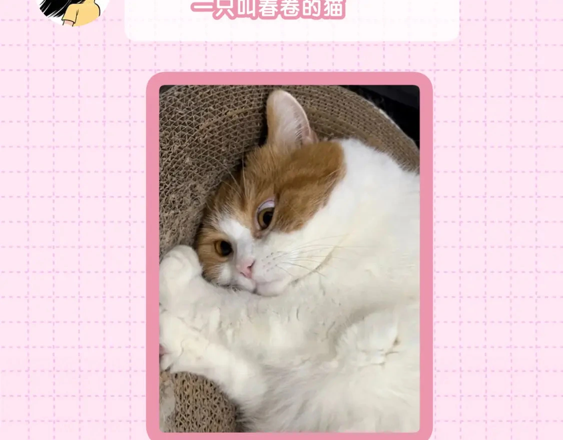 作者茶话会14