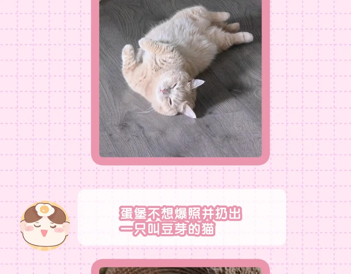 作者茶话会12