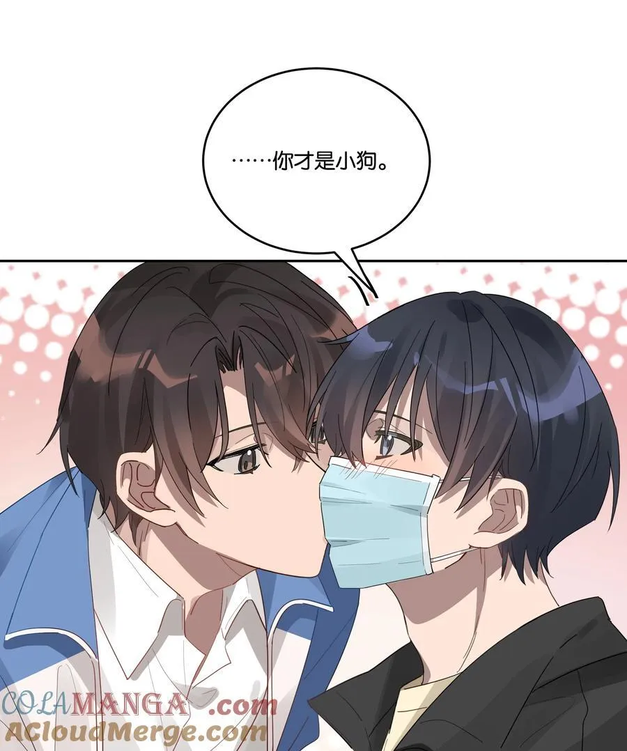 034 小狗12