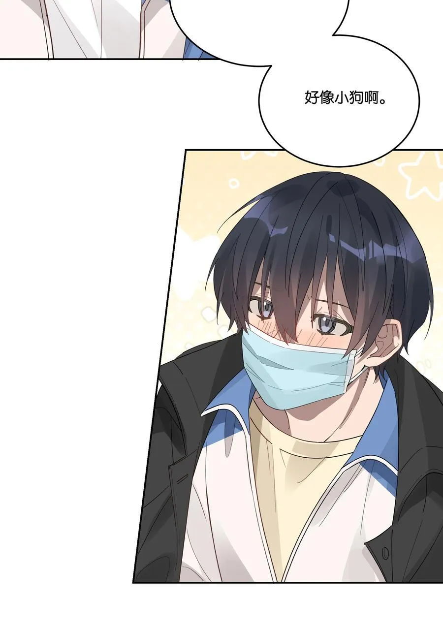 034 小狗11