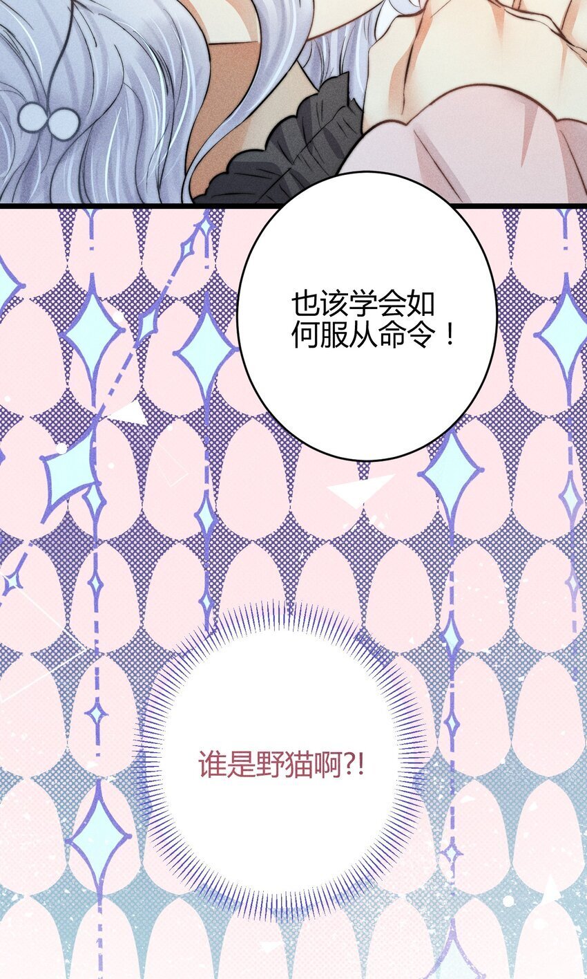 18 2F：野猫无主33
