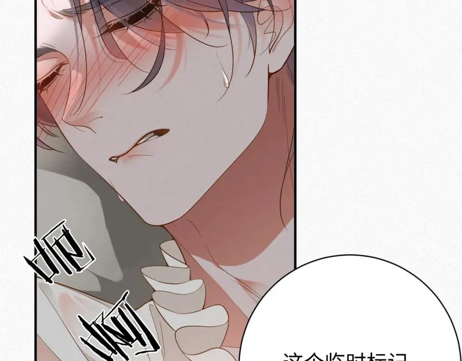 第35话 标记20
