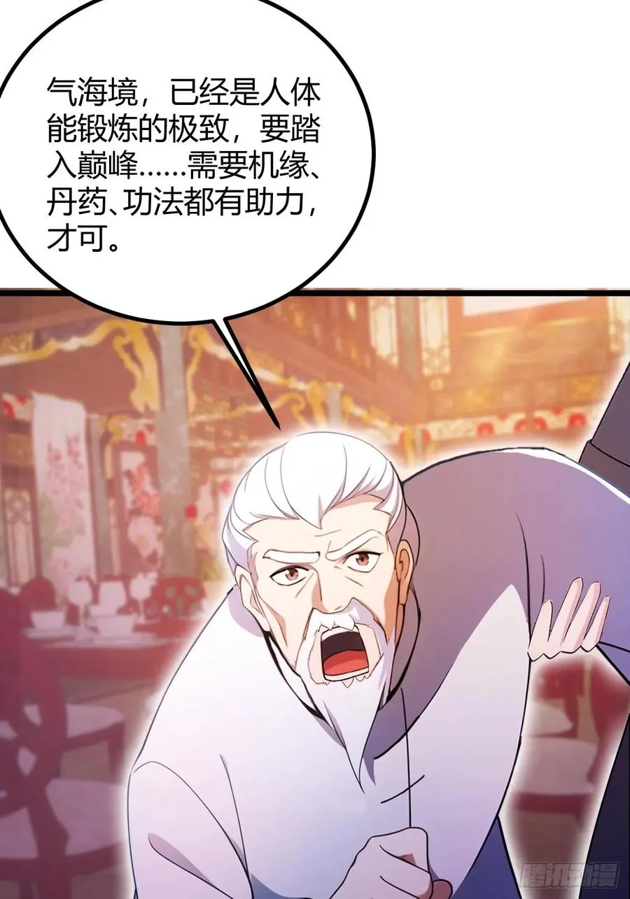 第138话 气海巅峰的实力5