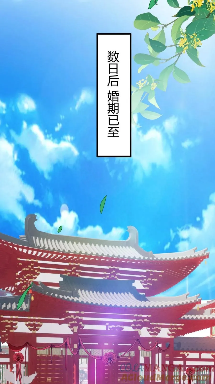 第127话 婚礼20