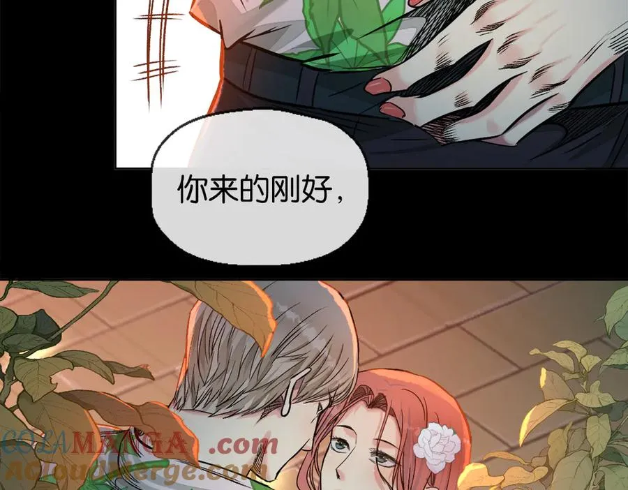 48-交际花30