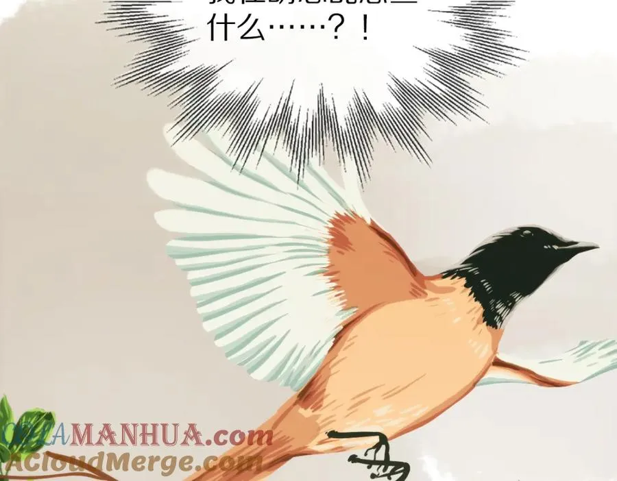 08-小夜莺54