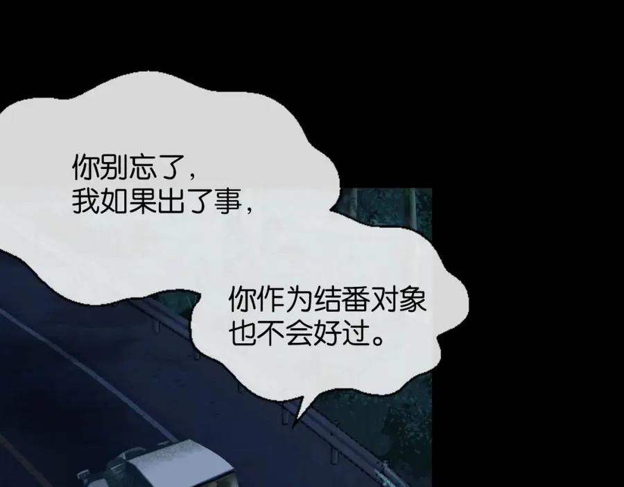 28-切西亚14
