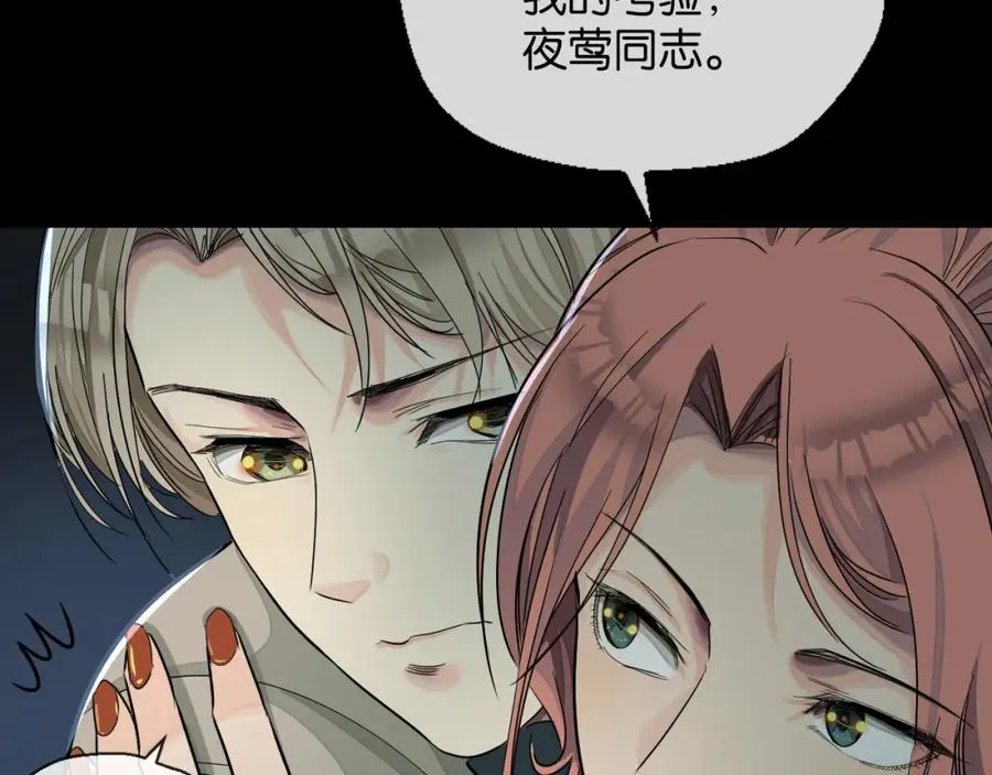 28-切西亚74