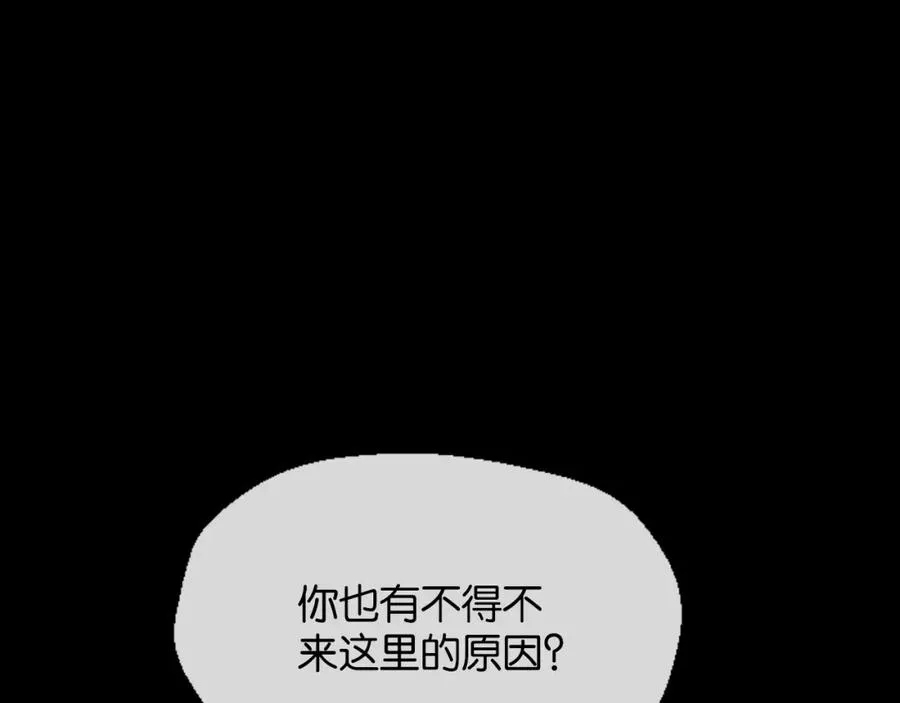 27-是圈套41