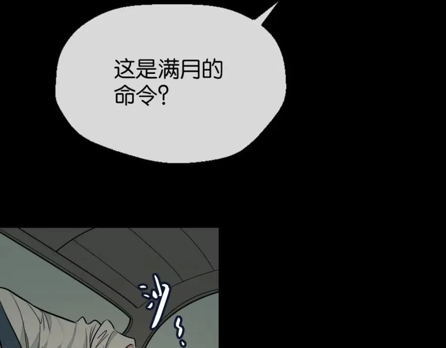 29-承认了77
