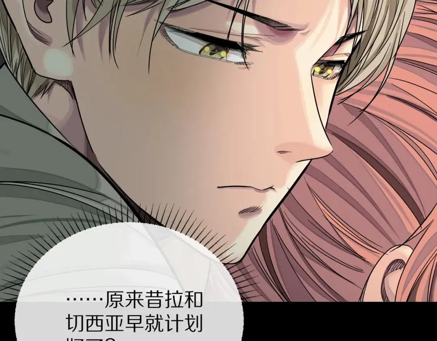28-切西亚55