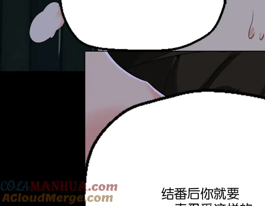 17-安全了15
