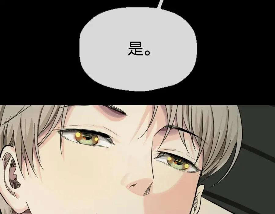 29-承认了81