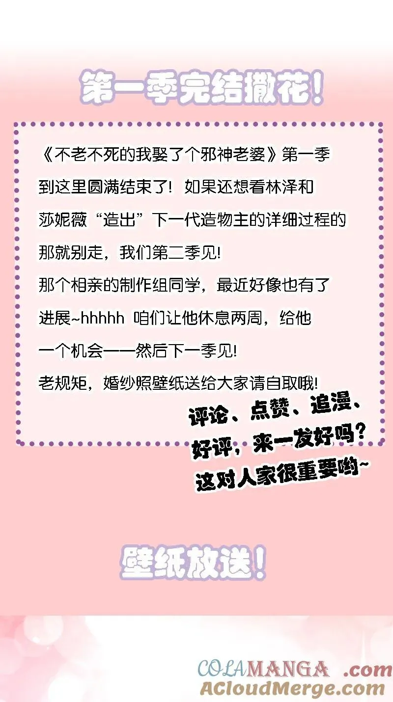 60 我们的婚礼42
