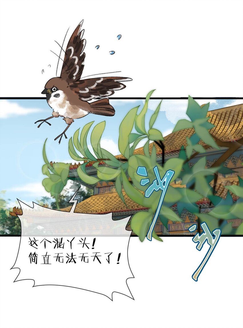 007 解 暑 佳 品42
