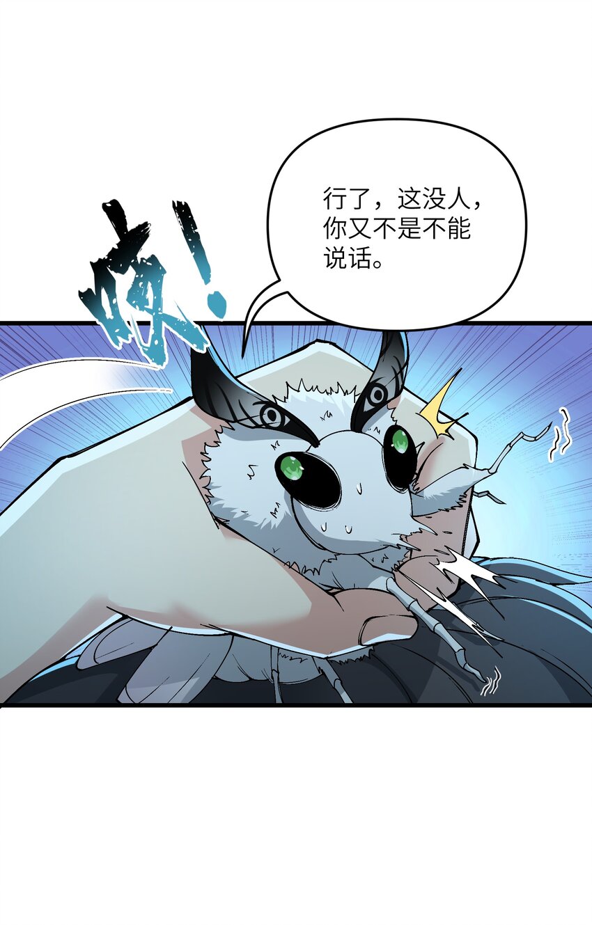 11 修炼11