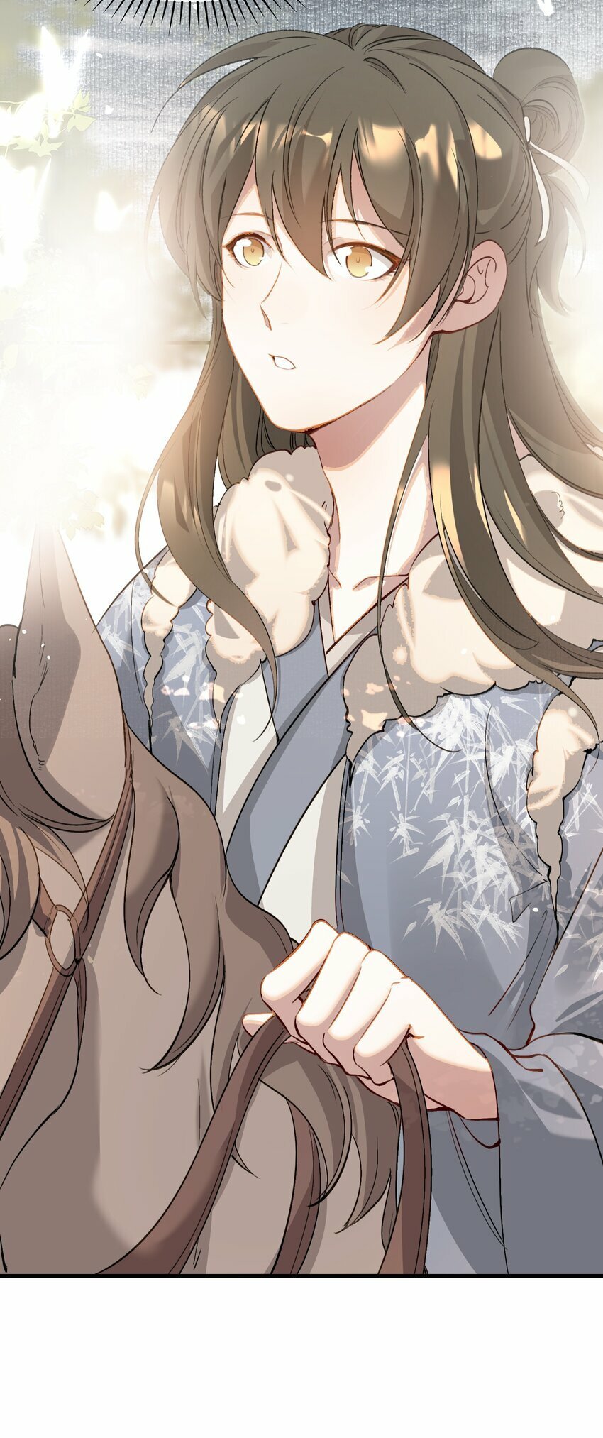 037 蝶恋花.宝物14