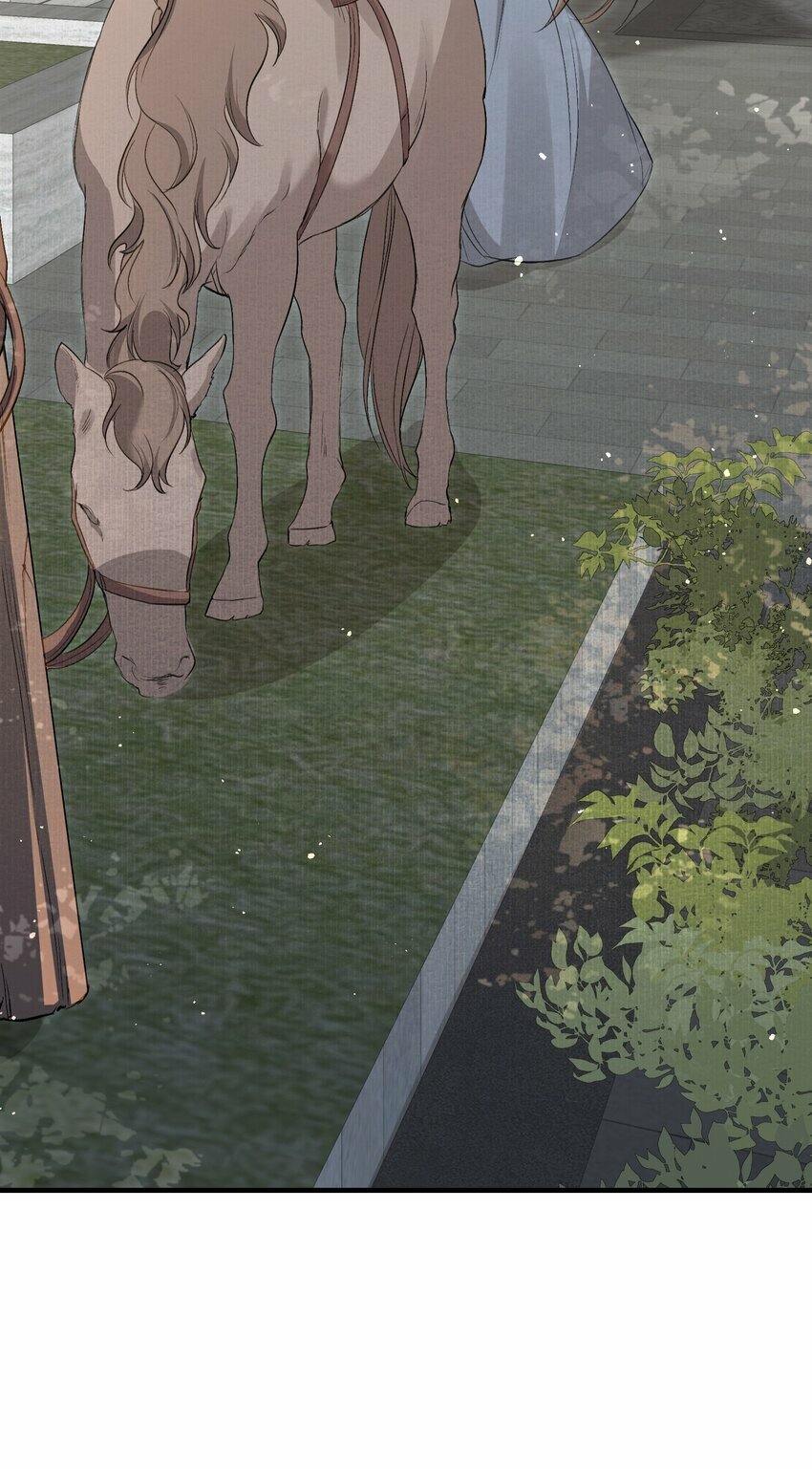 037 蝶恋花.宝物22