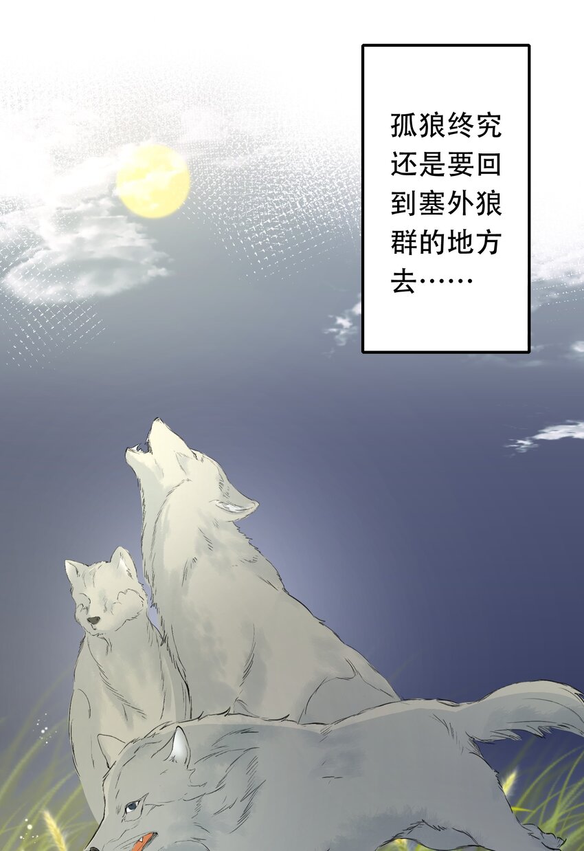 013 摸鱼儿·孤狼96