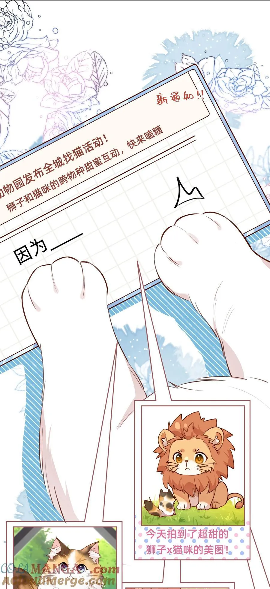 012 狮子王：动物界的甜蜜爱情28