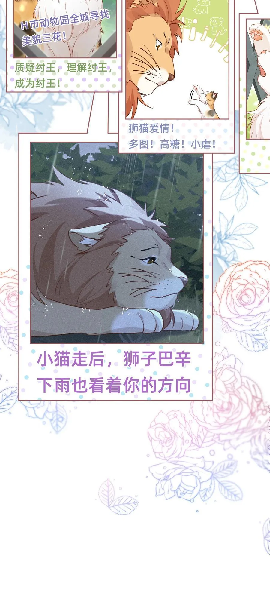 012 狮子王：动物界的甜蜜爱情29