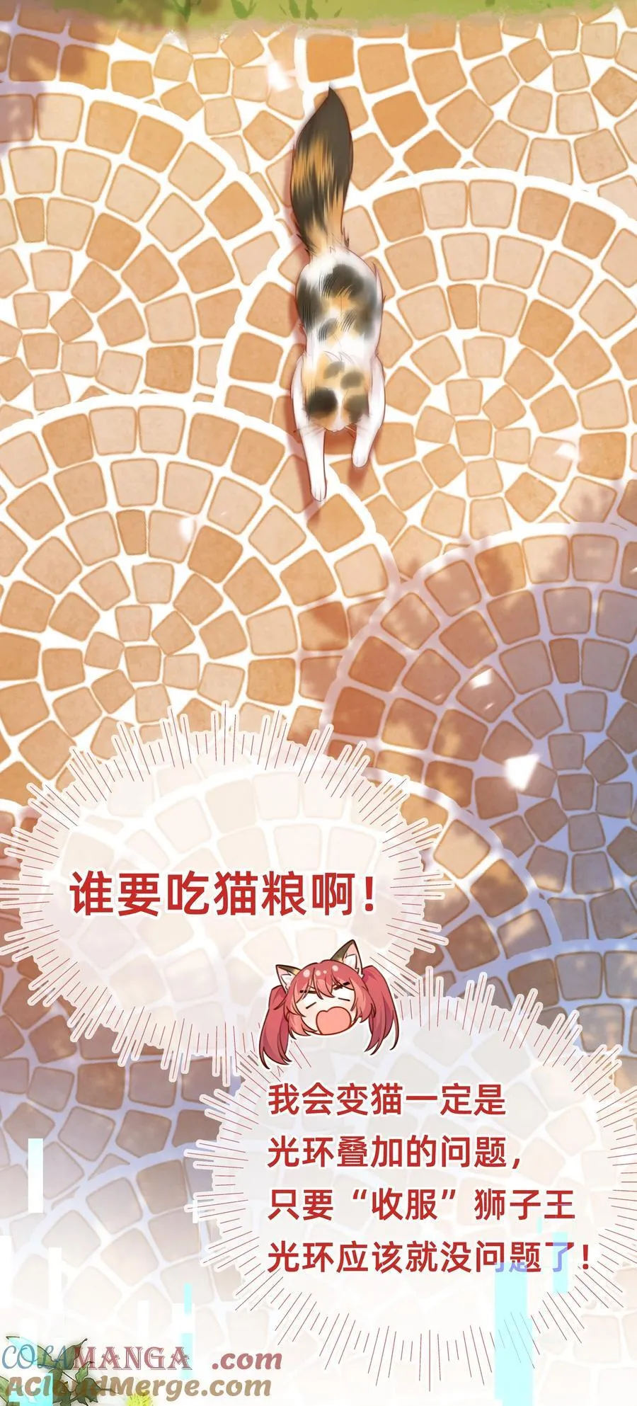 011 她说她喜欢我！！10