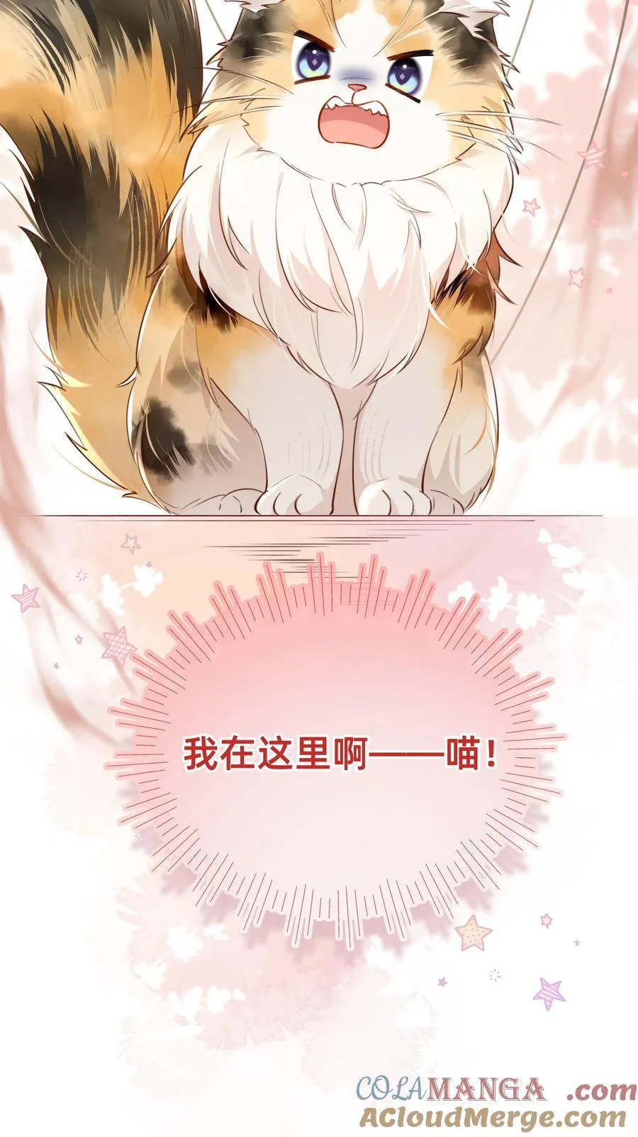 010 狮子王：喵喵喵？36