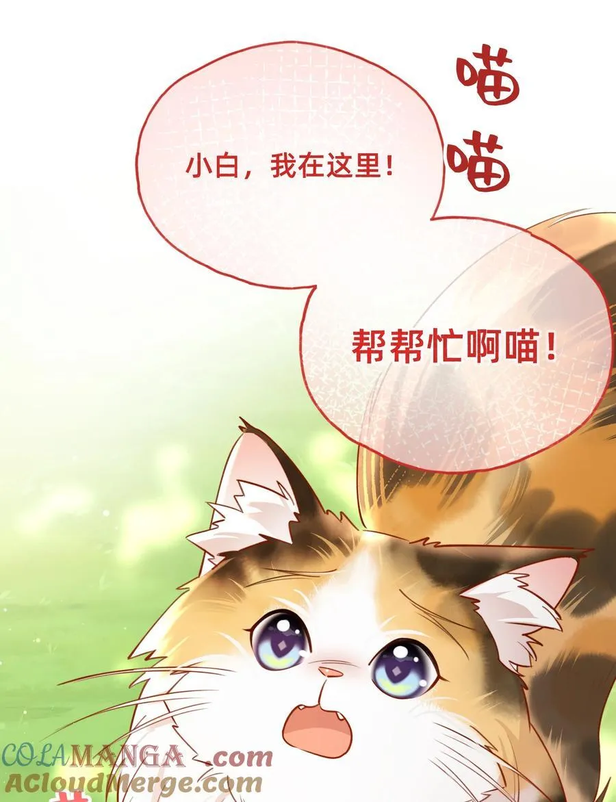 011 狮子王：她说她喜欢我！！2