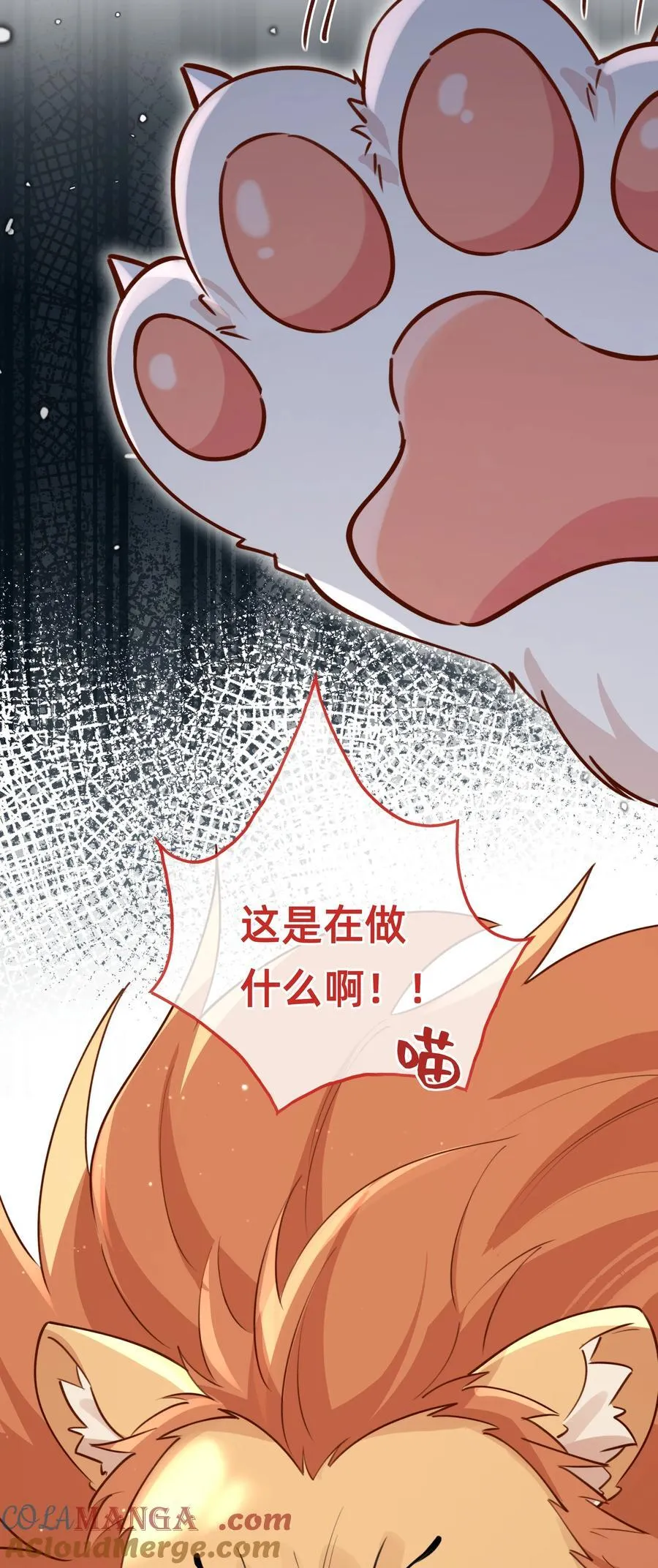 011 狮子王：她说她喜欢我！！36