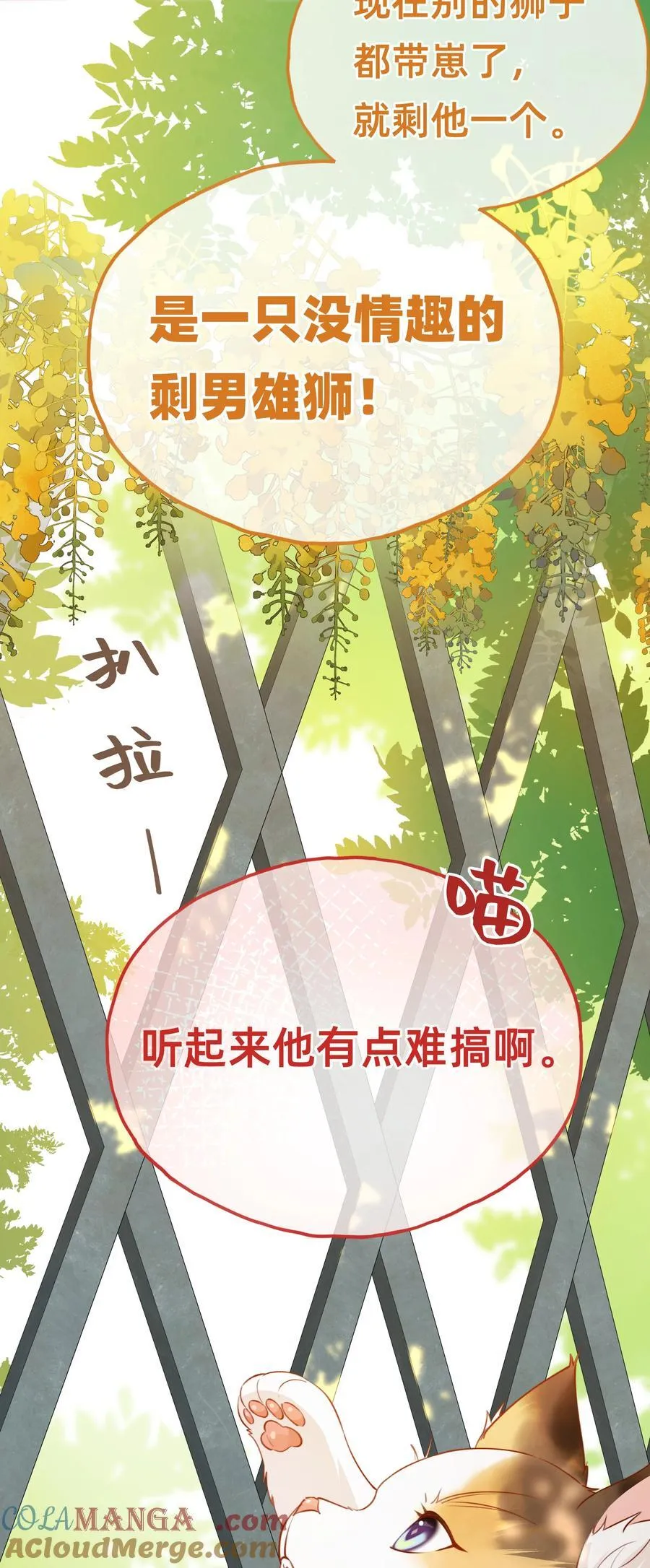 011 狮子王：她说她喜欢我！！16