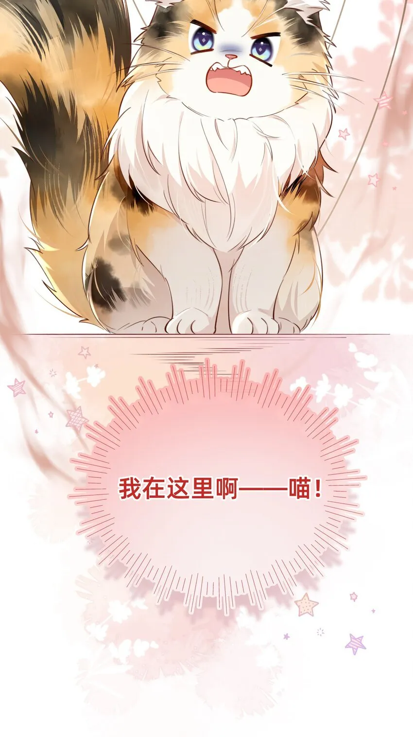 010 喵喵喵？36