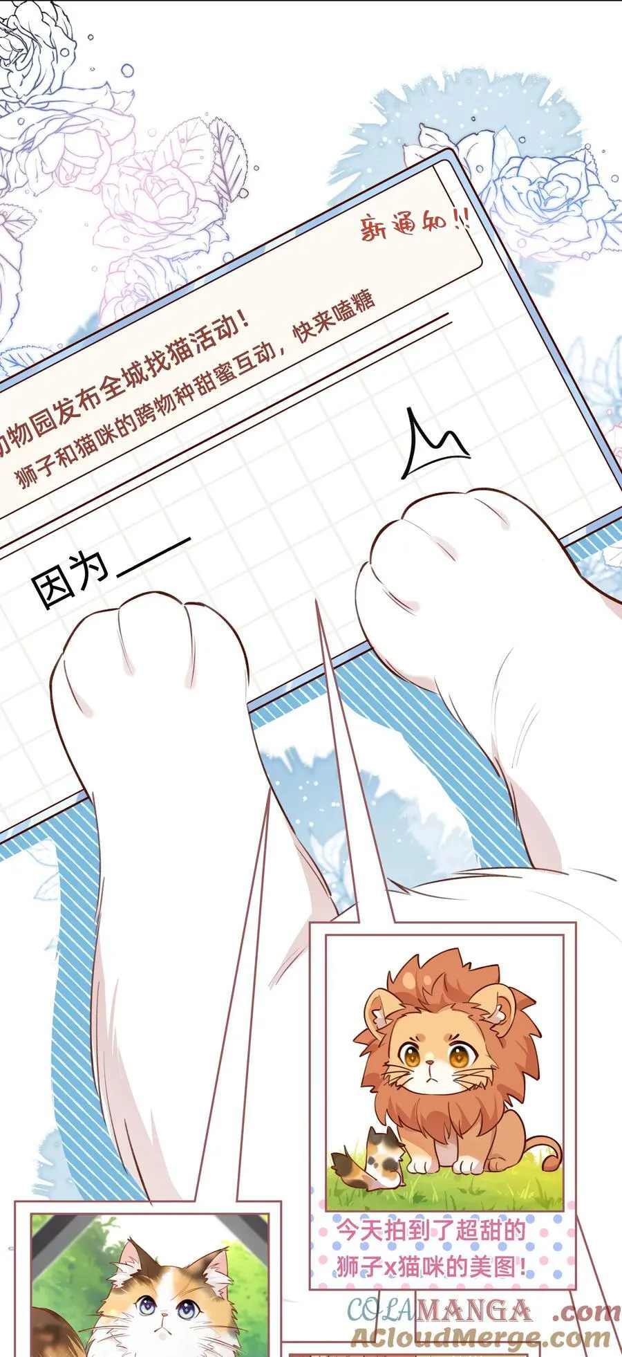 012 动物界的甜蜜爱情28