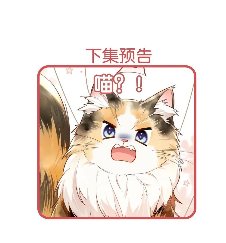 009 玛丽苏：主角的“秘密”？35