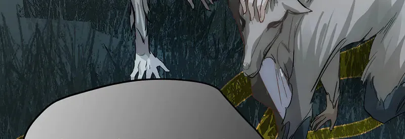 012 羊圈144