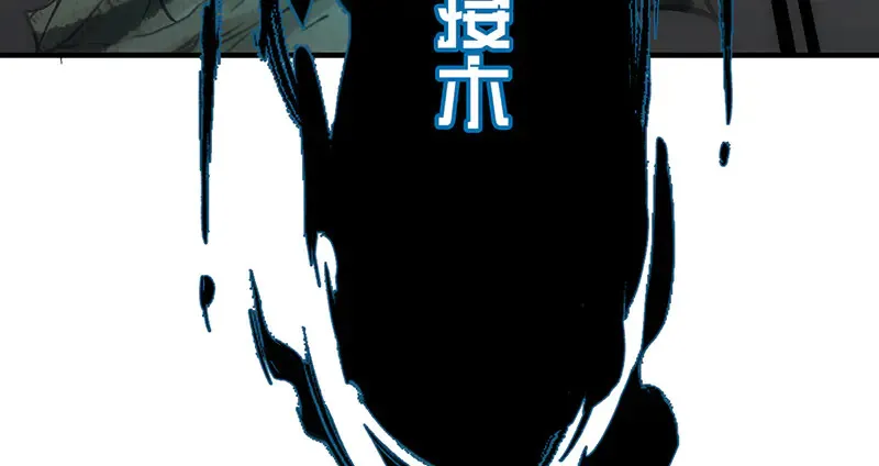 010 自愿78