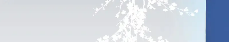 010 自愿144