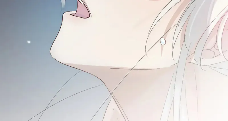 009 十成修为63