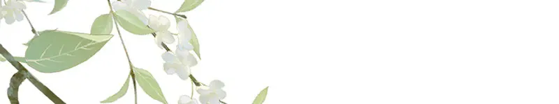 011 无法拒绝101