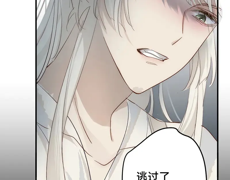 010 自愿45