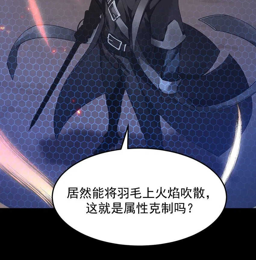 15 炎凤兽45