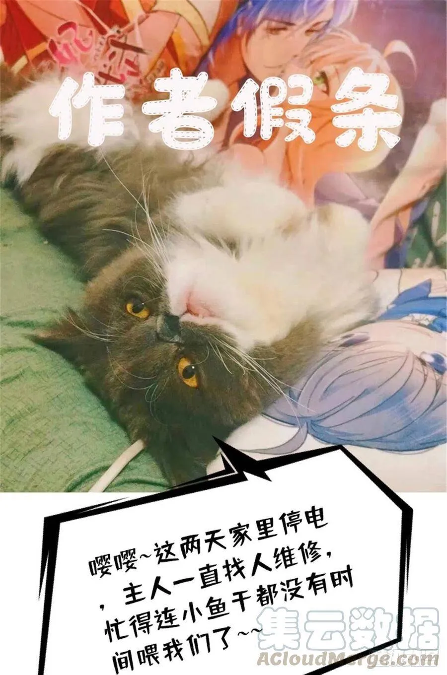 请假条！ 20