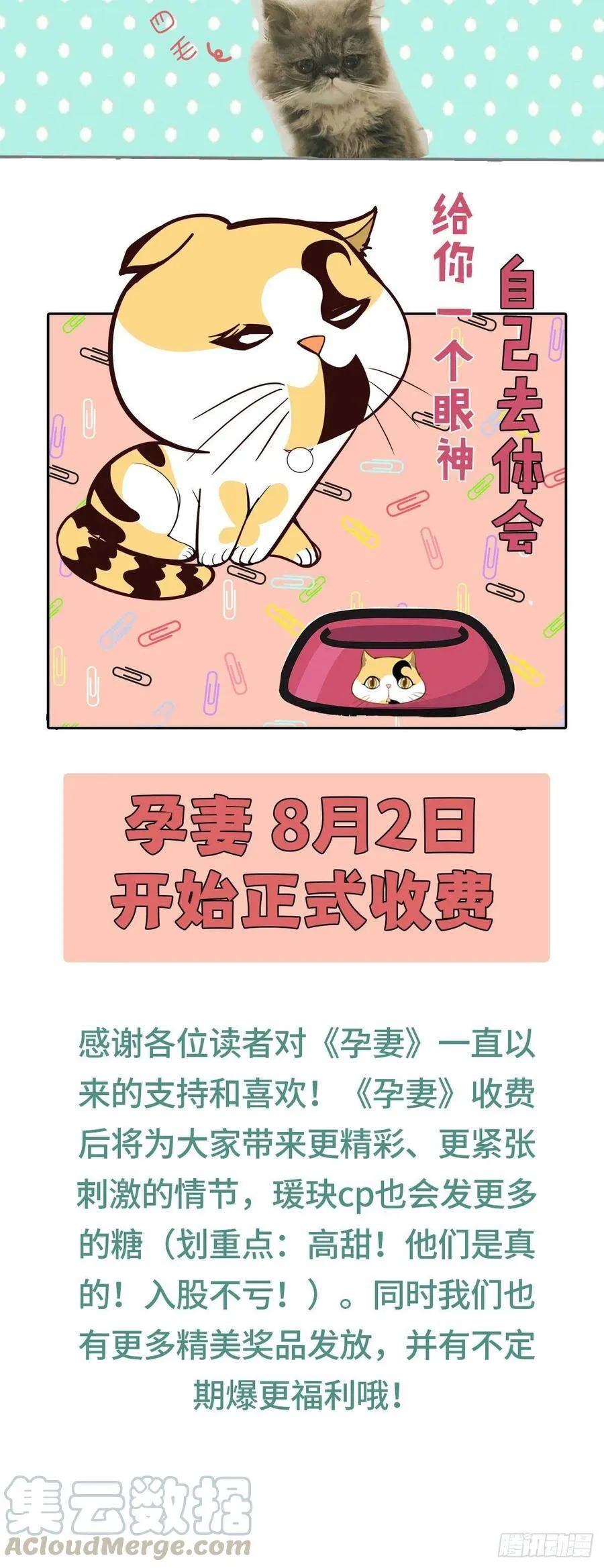 付费公告2