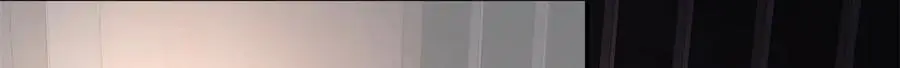 31 别丢下我52