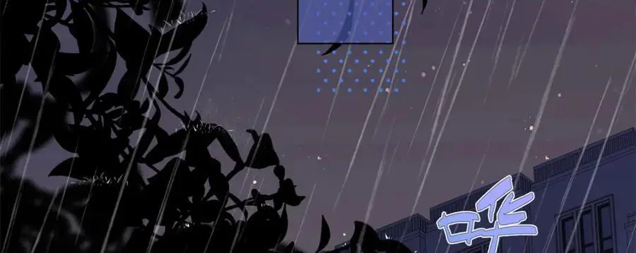 31 别丢下我26