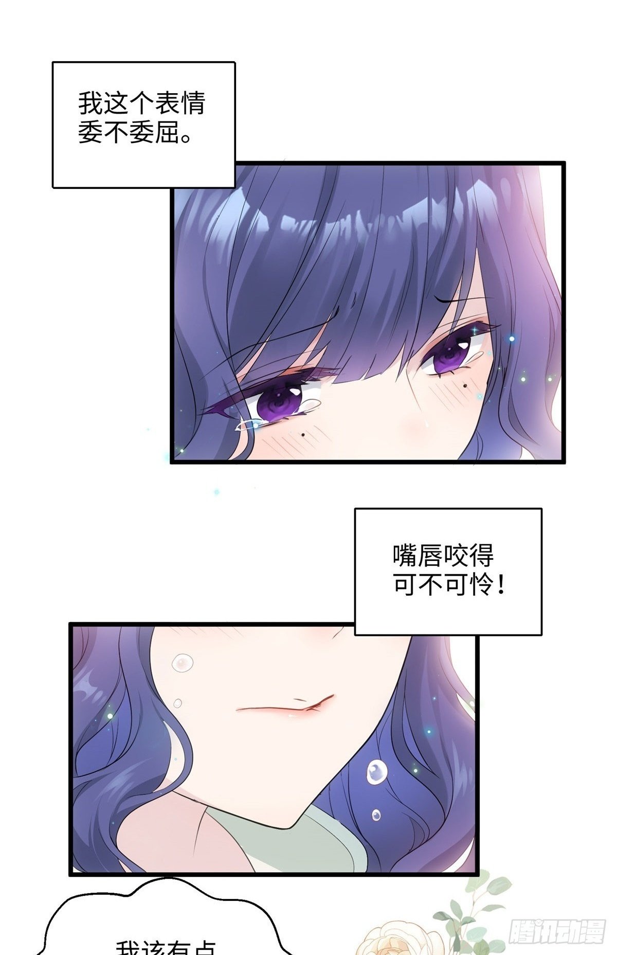 03 惹人怜爱的小茶花~1