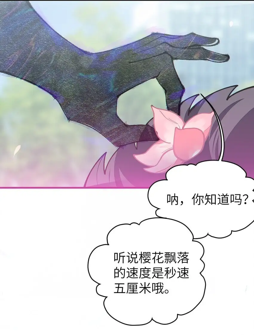 015 呐，你知道樱花飘落的速度吗46