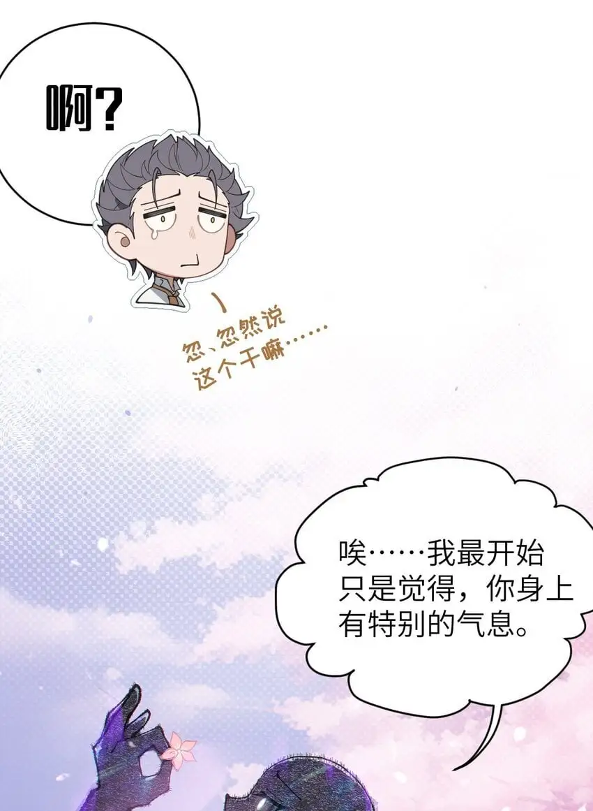 015 呐，你知道樱花飘落的速度吗47