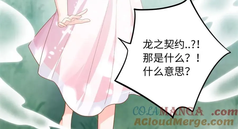 74 龙之契约68