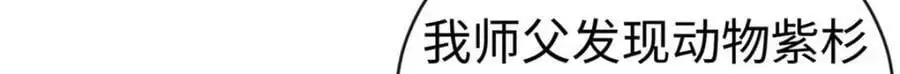 21 司明镜偷了研究成果？110