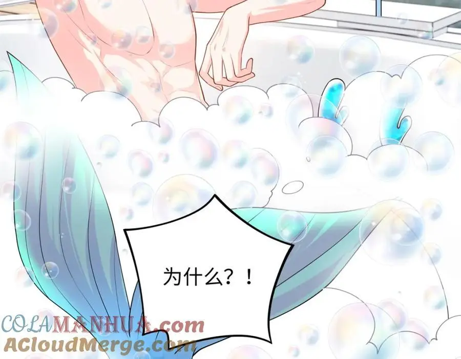 60 白九思现身84